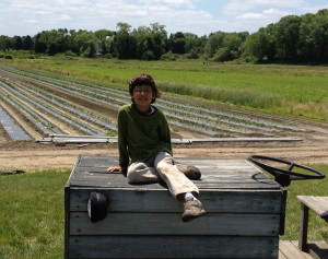 Mohan at Verrill Farm, Concord